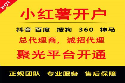 案例对比：不同竞价推广策略的优劣分析
